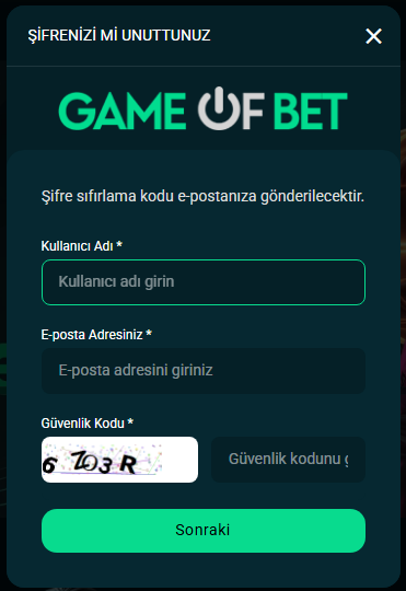 ✏️ İstenilen Bilgileri Girin