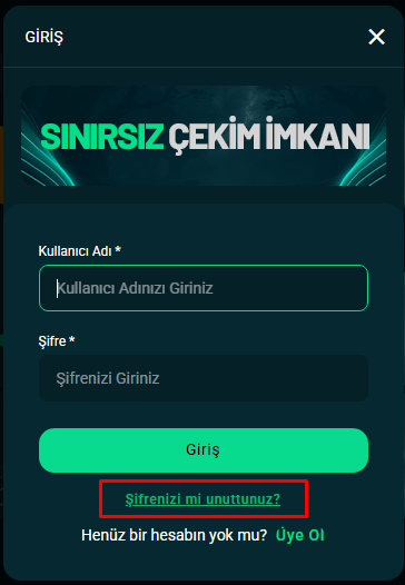 🔓 Şifrenizi Unuttuysanız